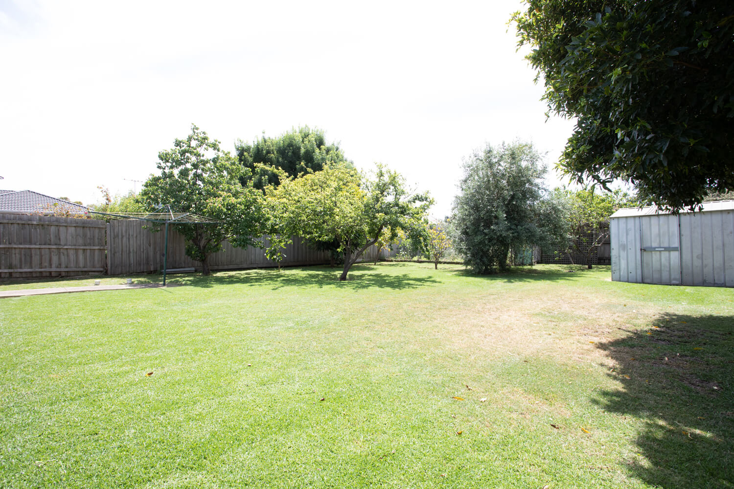 lawn-enhancement---before